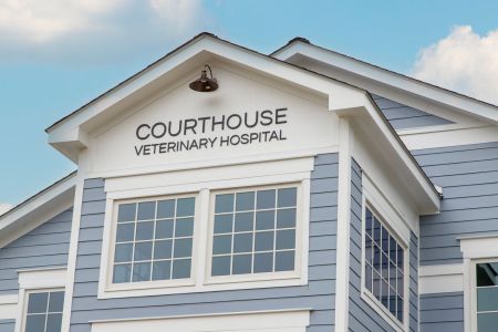 CHVC close-up of tower detail 9240