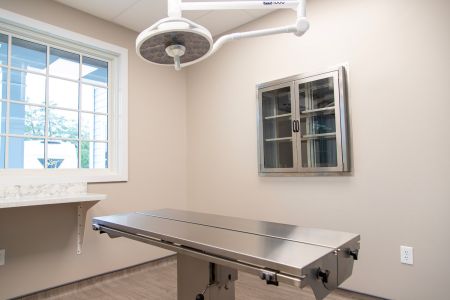 CHVC exam table detail 9367