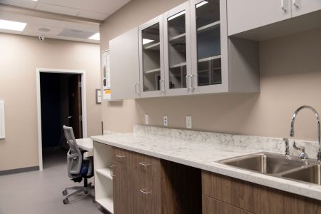 CHVC lab counter detail 9312