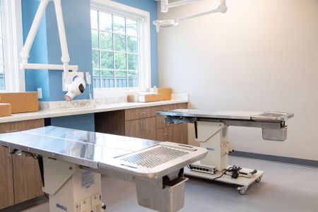 CHVC X-ray area 9336